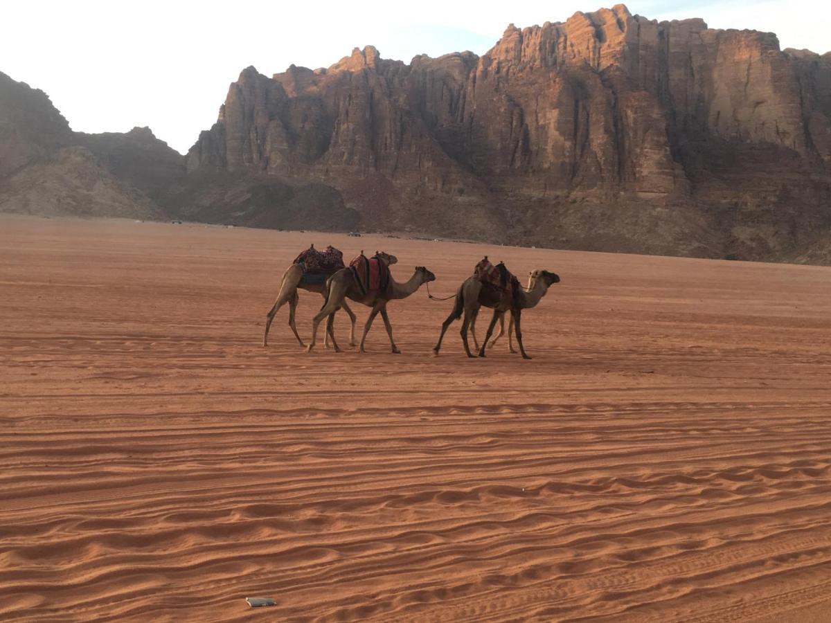 Nights With Bedouin & Jeep Tours Panzió Rum vádi Kültér fotó